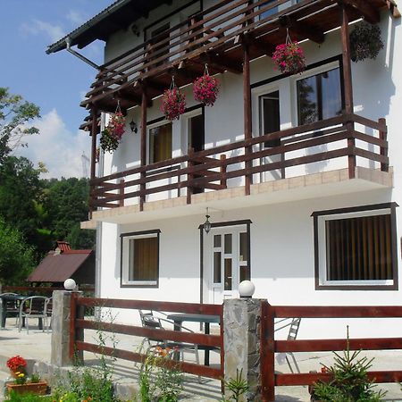 Vila Doina Branului Bran (Brasov) Exterior foto