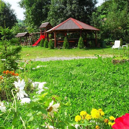 Vila Doina Branului Bran (Brasov) Exterior foto