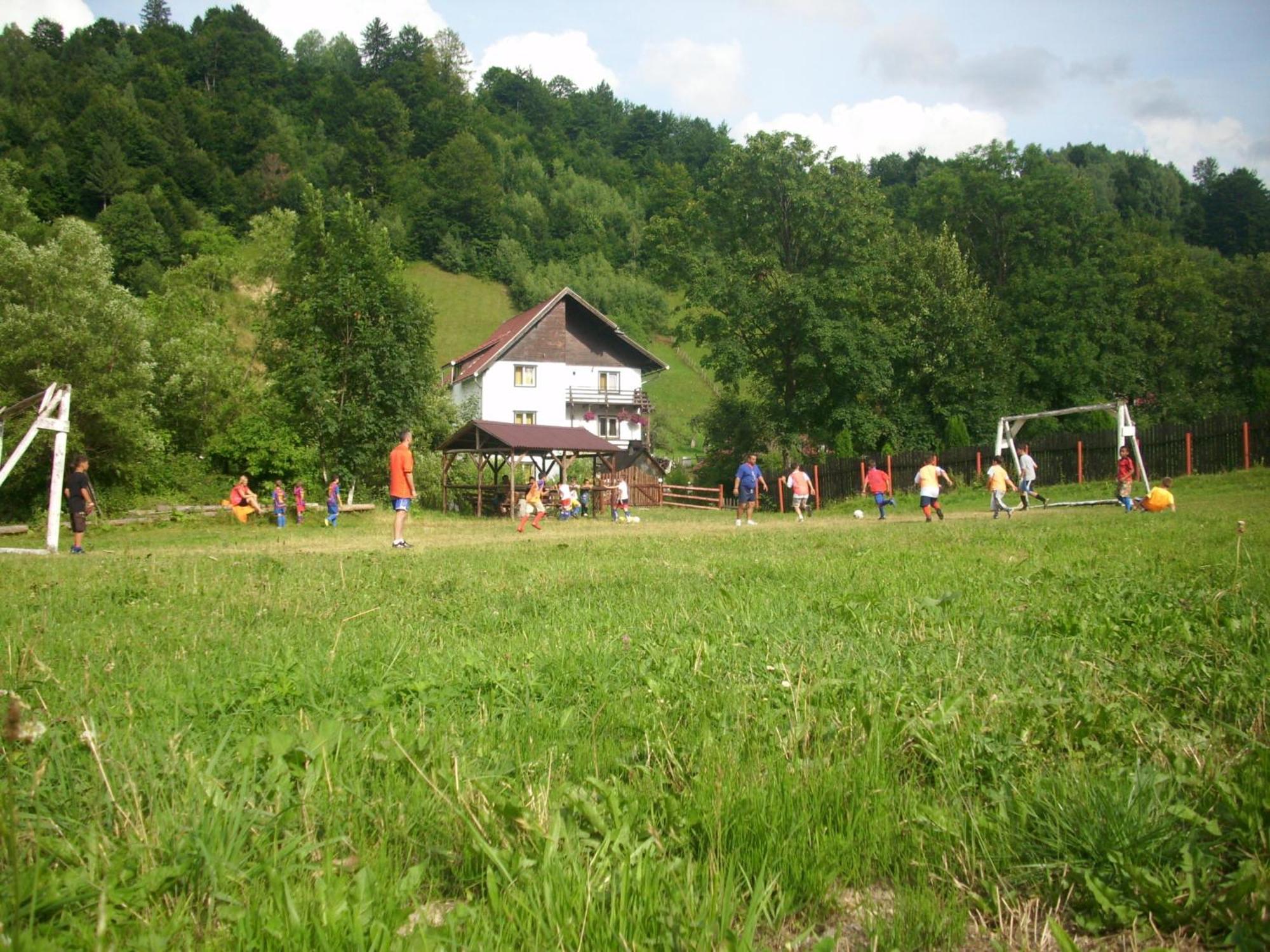 Vila Doina Branului Bran (Brasov) Exterior foto