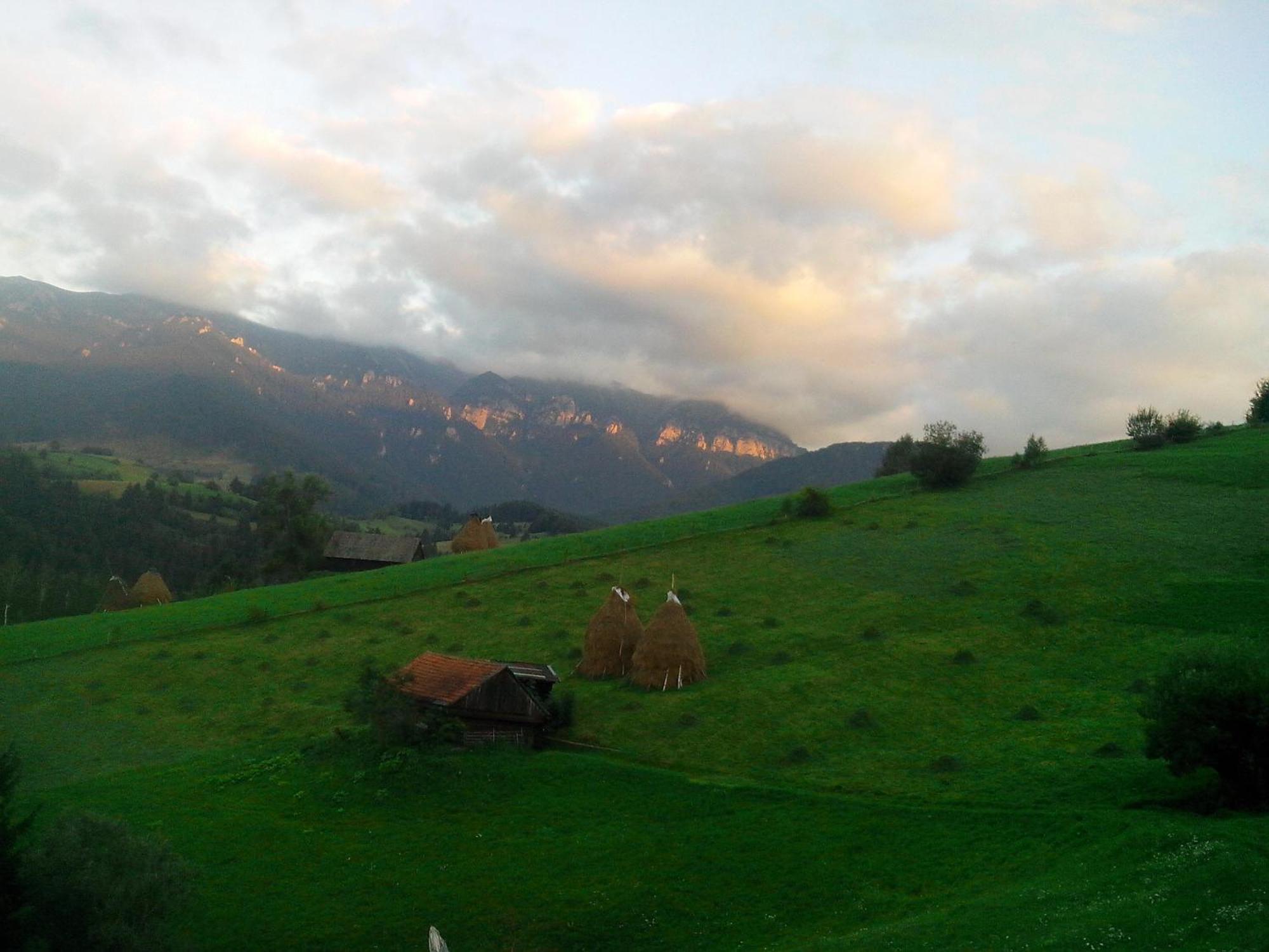 Vila Doina Branului Bran (Brasov) Exterior foto