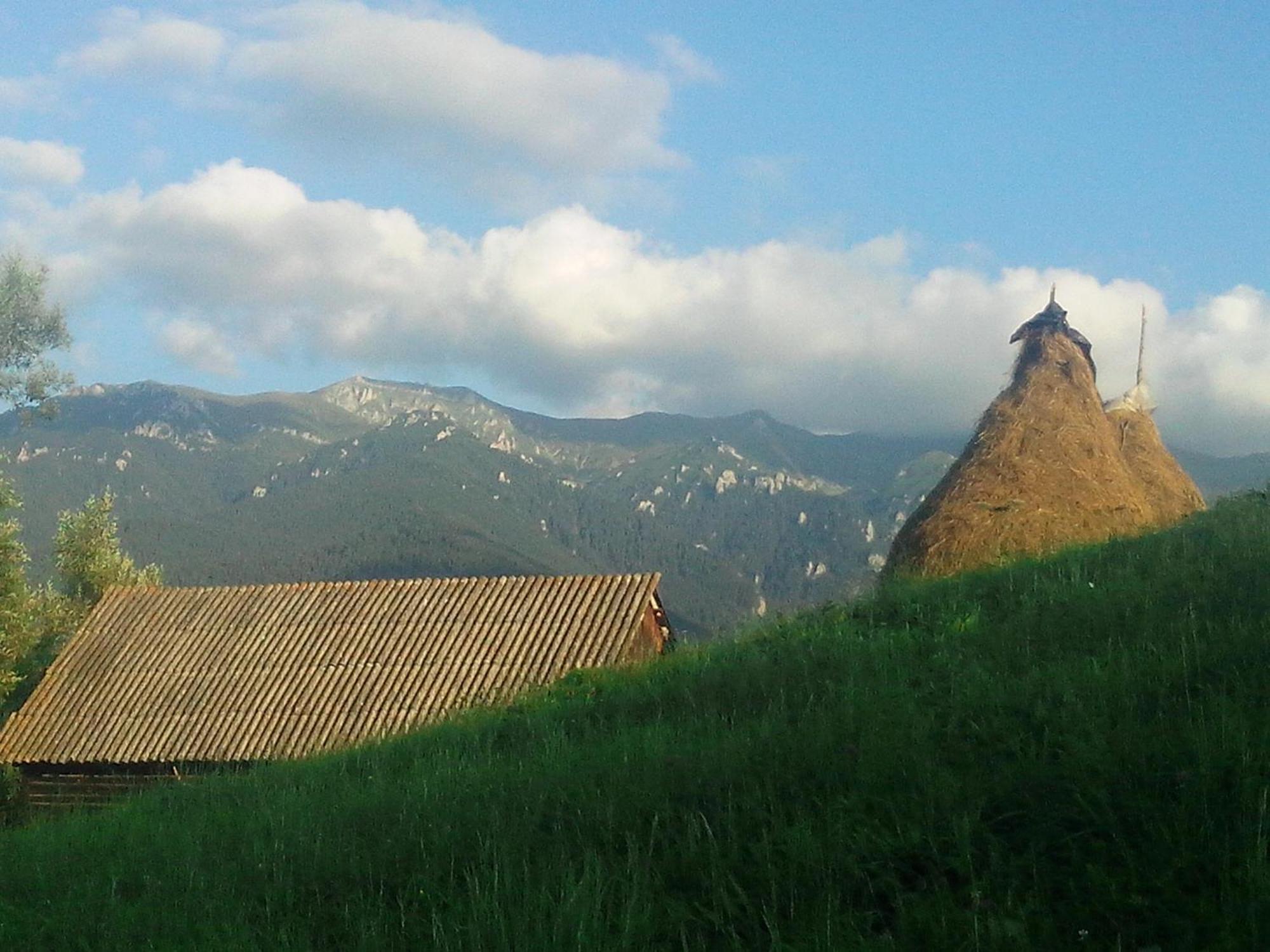 Vila Doina Branului Bran (Brasov) Exterior foto