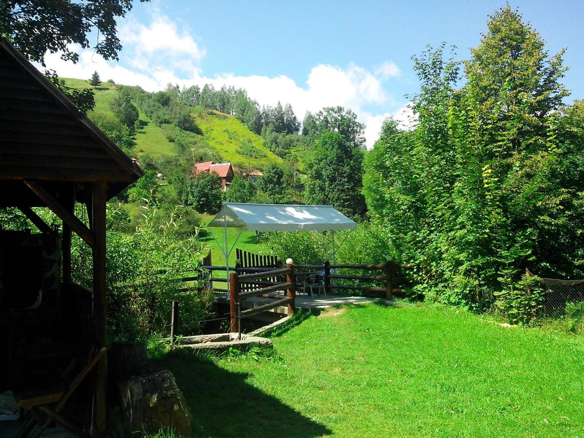 Vila Doina Branului Bran (Brasov) Exterior foto