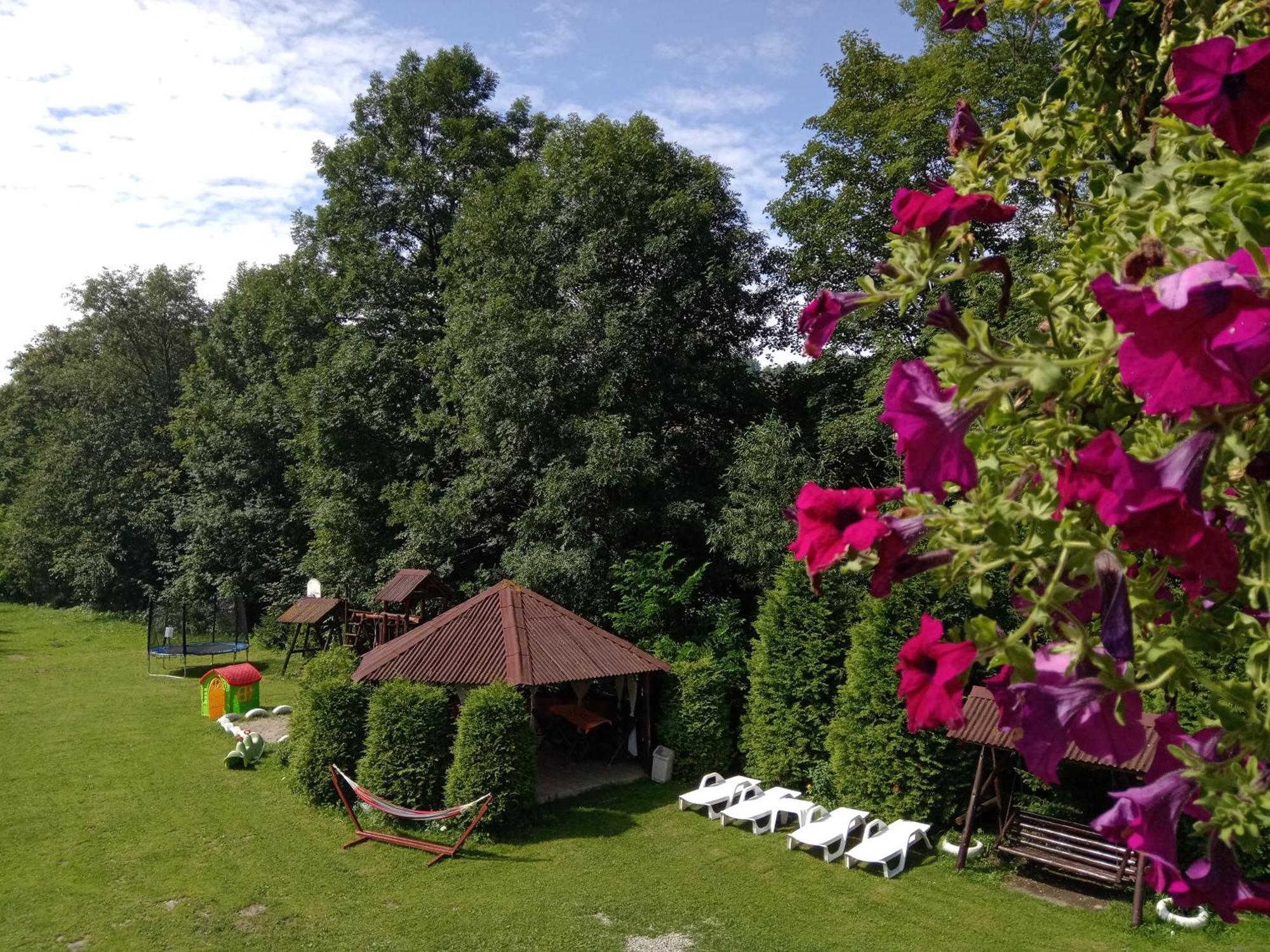 Vila Doina Branului Bran (Brasov) Exterior foto