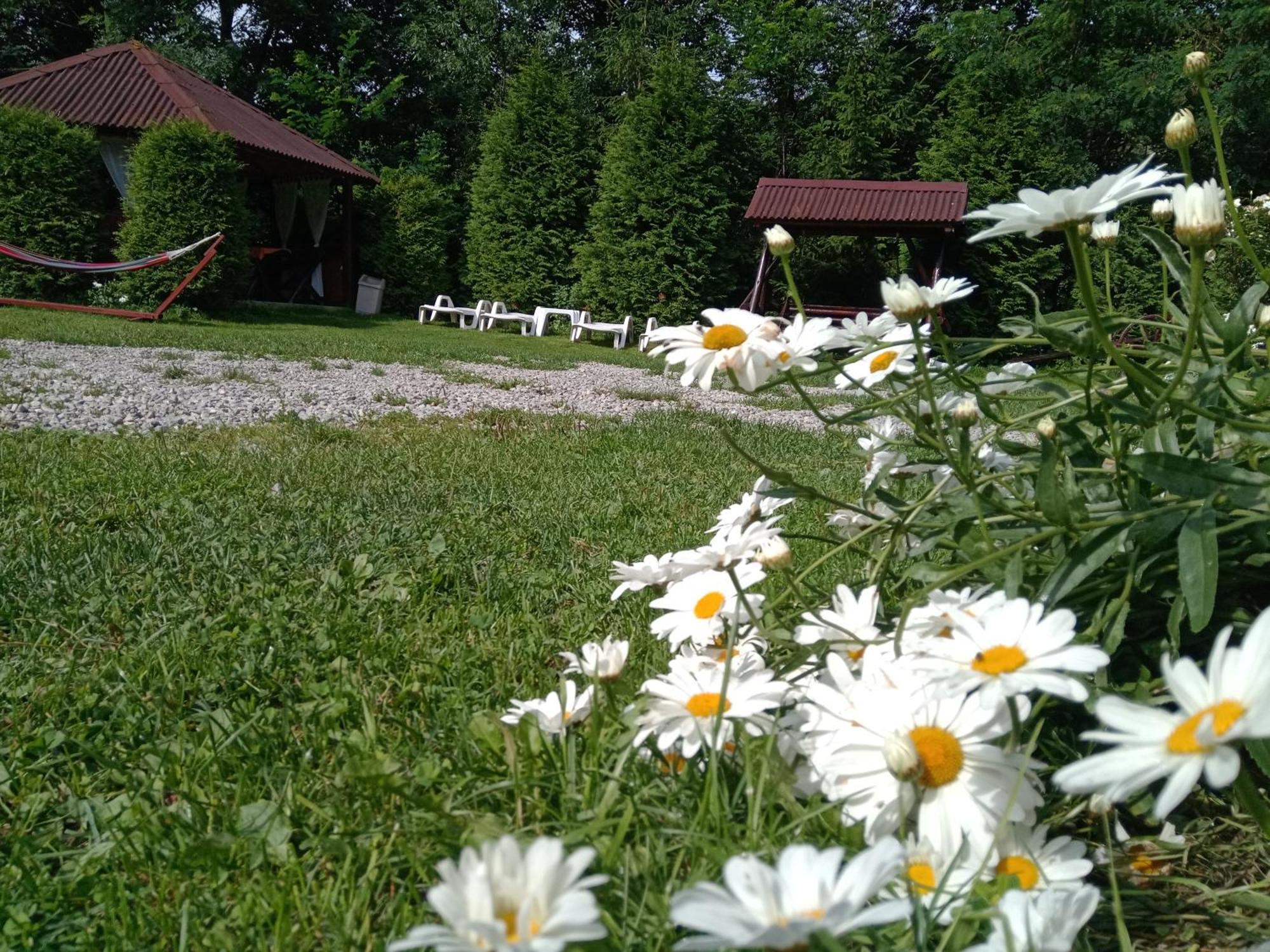 Vila Doina Branului Bran (Brasov) Exterior foto